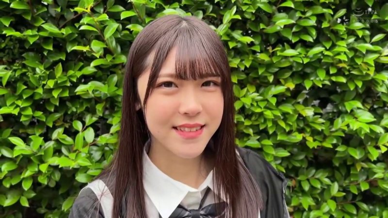 サンプル画像