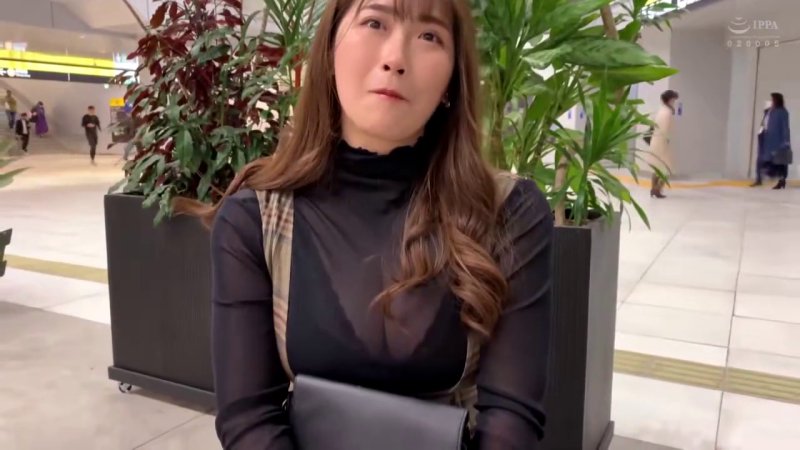 サンプル画像
